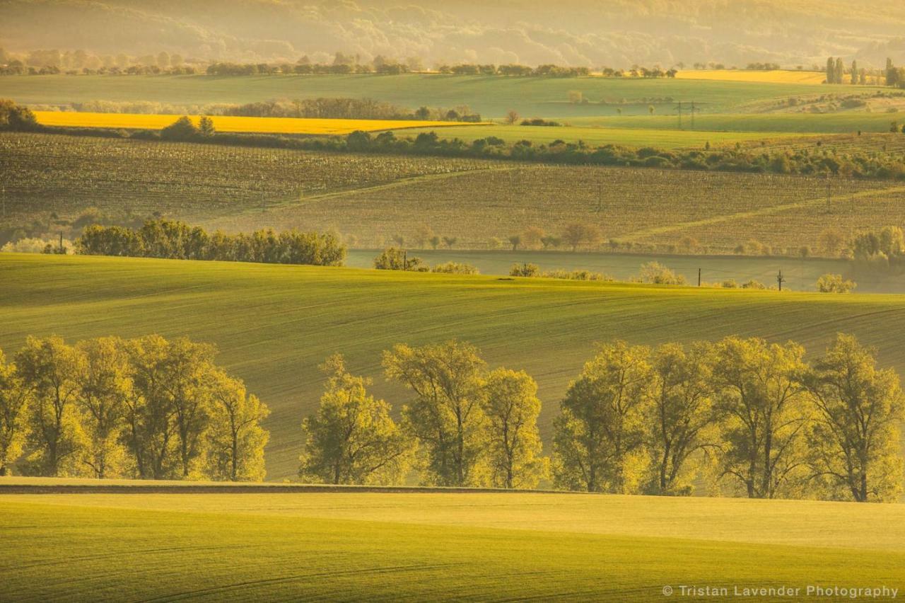 Moravske Toskansko Stavesice Εξωτερικό φωτογραφία